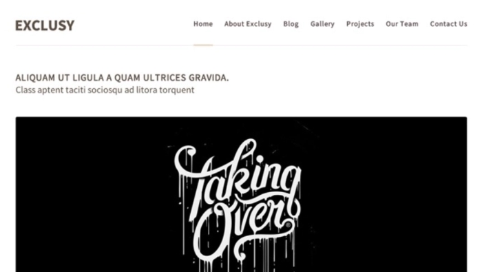 Themes Kingdom Exclusy WordPress Theme 1.8