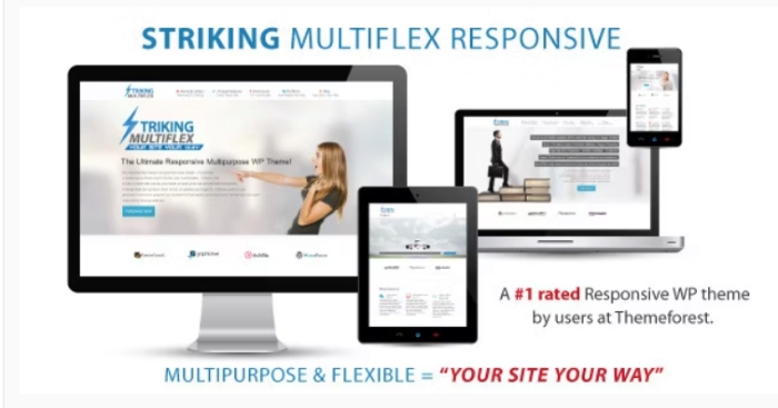 Striking – MultiFlex & Ecommerce Responsive WP Theme 2.3.8 2.3.8 Date 27 may 2024