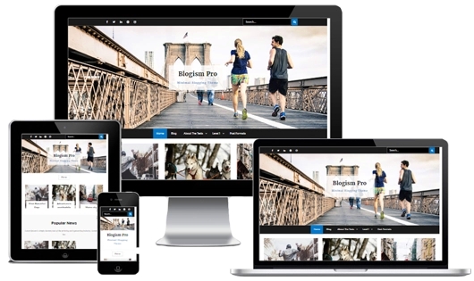 Blogism Pro Theme Palace 2.3.1