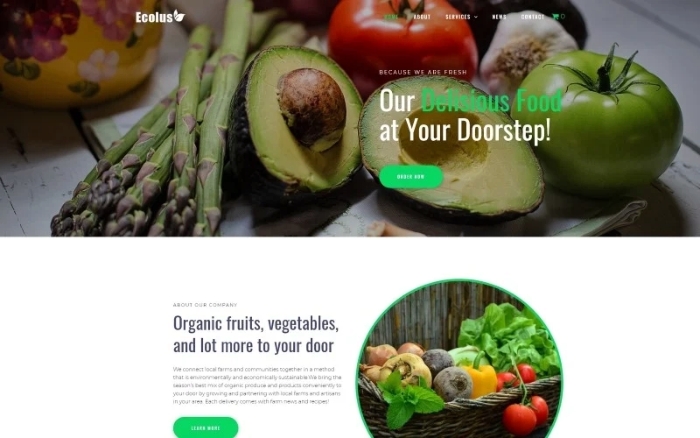 Ecolus – Organic Food Delivery ECommerce Modern WordPress Elementor Theme 1.2.3