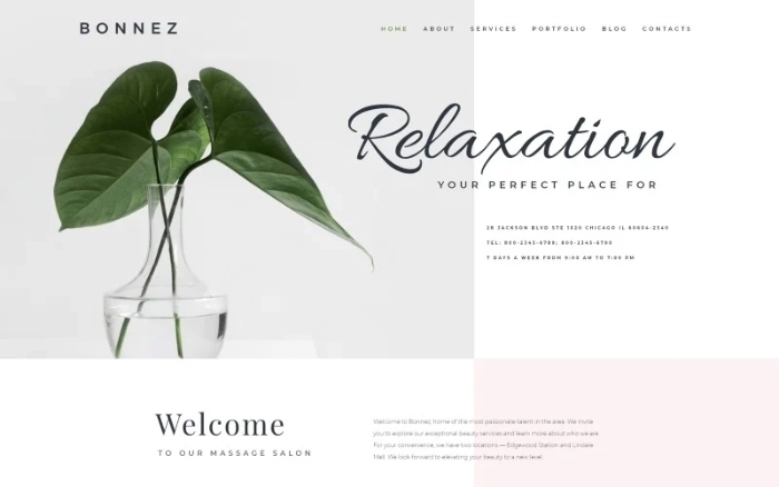 Bonnez β Massage Salon Ready-to-Use Minimal WordPress Elementor Theme 1.0.0