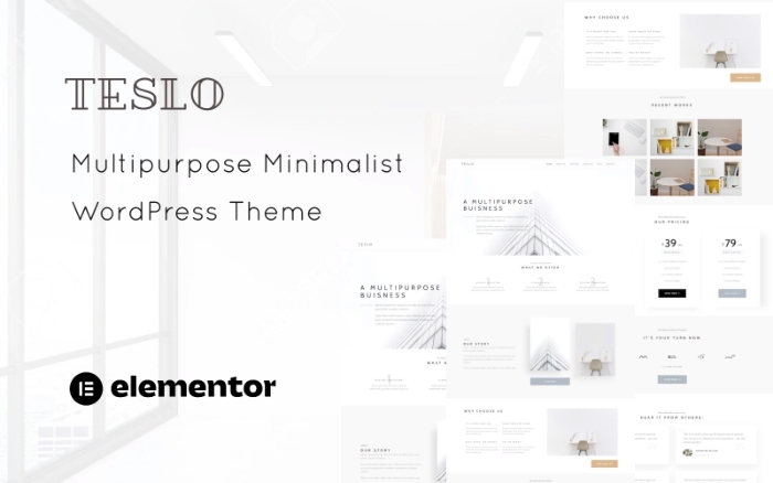 Teslo – Multipurpose Business and IT Solution Minimalist WP Theme 1.0.0