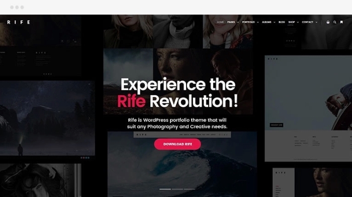 Rife Pro – Creative WP Theme​​ 2.4.17