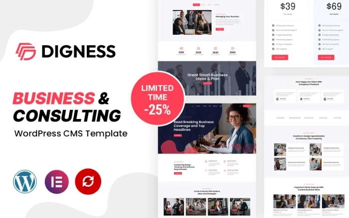 Digness – Consulting Business WordPress Theme 1.0.0