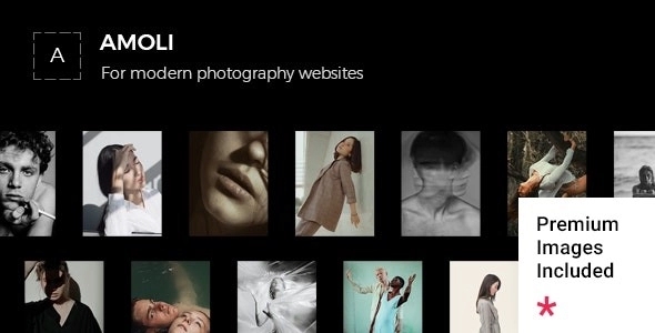 Amoli – Fashion Photography Theme 1.0