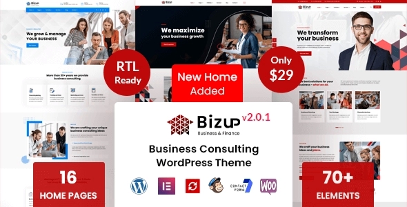 Bizup – Business Consulting WordPress Theme 2.0.4