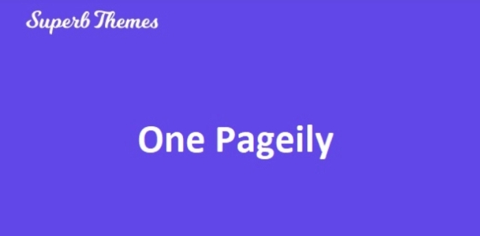 One Pageily WP Theme 111.1