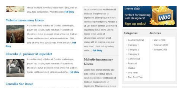 WooThemes Gotham News Premium Theme 3.0