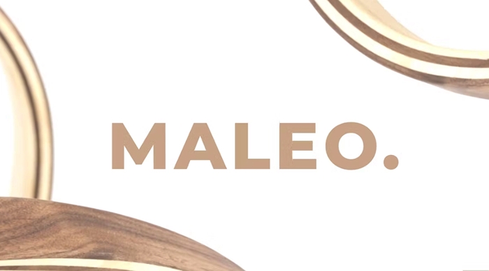 Maleo – Minimal Home Decor & Furniture Elementor Template Kit 1.0.0