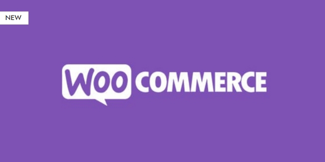Paywall for WooCommerce 4.1.1