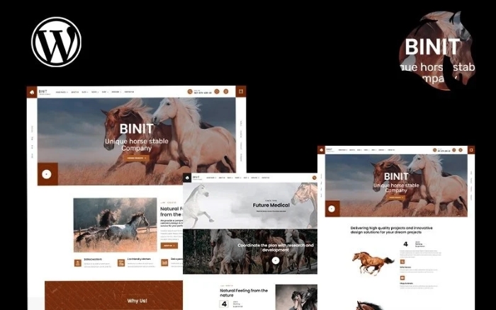 Binit Equestrian Horse Riding School WP Theme 1.1.0