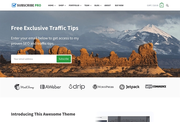 Subscribe Pro WP Theme 1.1