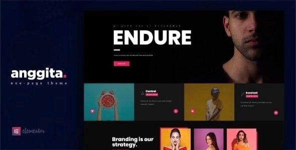 Anggita - One Page Portfolio Theme 1.0
