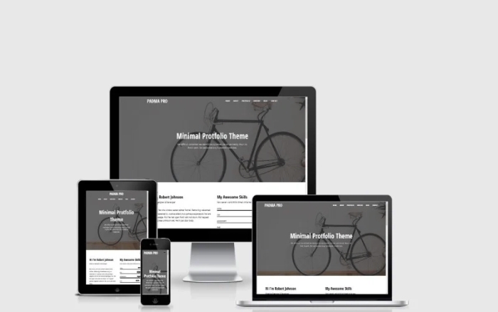 Padma Pro – Personal Portfolio WordPress Theme 1.0.0