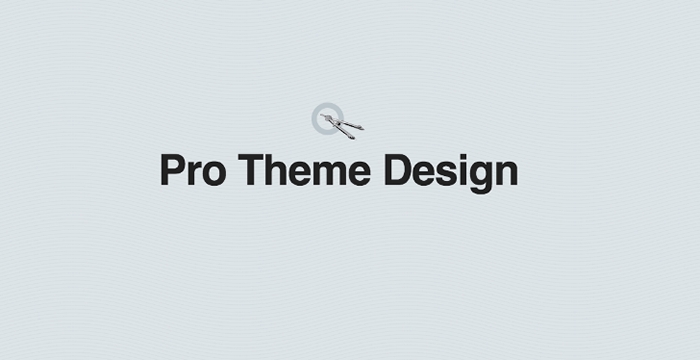Portrait WP Theme ProThemeDesign 2.2.2