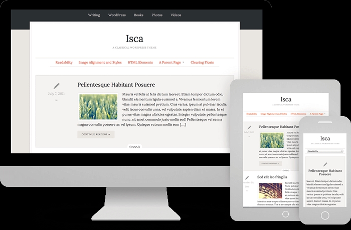 Isca WP Theme ProThemeDesign 2.2