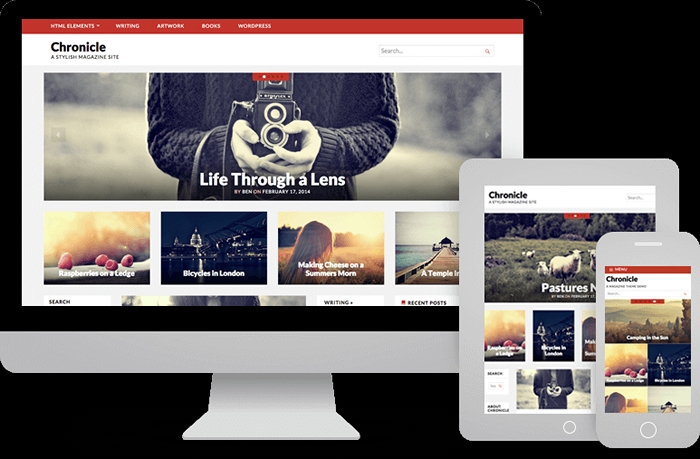 Chronicle WP Theme ProThemeDesign 10.7.5