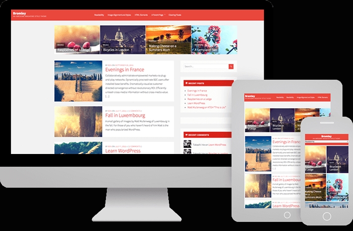 Bromley WP Theme ProThemeDesign 2.3