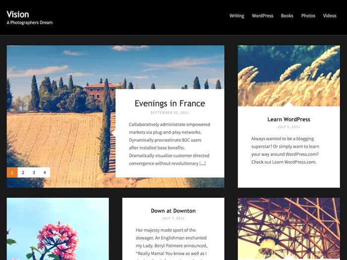 Vision WP Theme ProThemeDesign 1.7