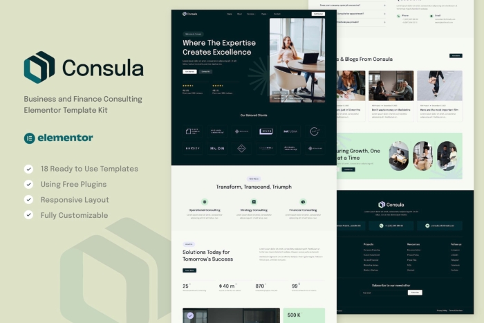 Consula – Business and Finance Consulting Elementor Template Kit 1.0.0