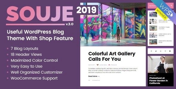 Souje – Personal WordPress Blog Theme 4.0