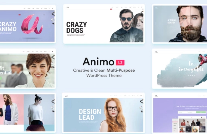 Animo – Creative & Clean Multi-Purpose WP Theme 1.3