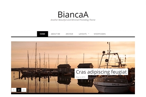 Theme Junkie – BiancaA 1.0.6