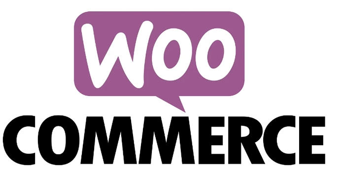Conditional Payment Methods For WooCommerce 4.0.0