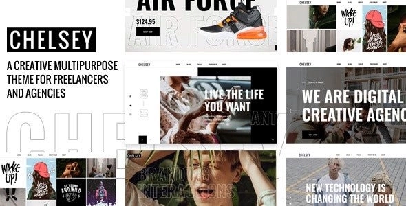 Chelsey - Portfolio Theme for Freelancers and Agencies 1.0