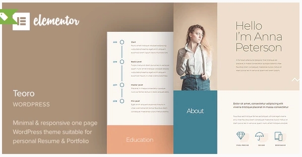 Teoro – CV Resume WordPress Theme 1.1