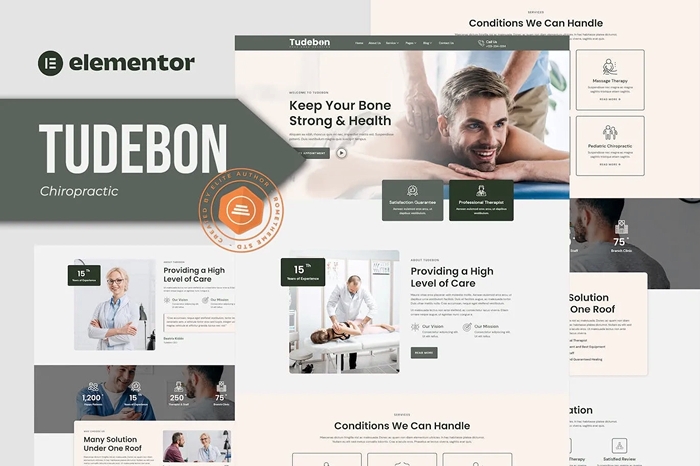Tudebon - Chiropractic & Physiotherapy Elementor Template Kit 1.0.0