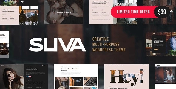 Sliva β Responsive Multi-Purpose Theme 1.0