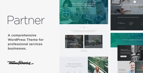 Partner – Accounting and Law Responsive WP Theme 1.0.7