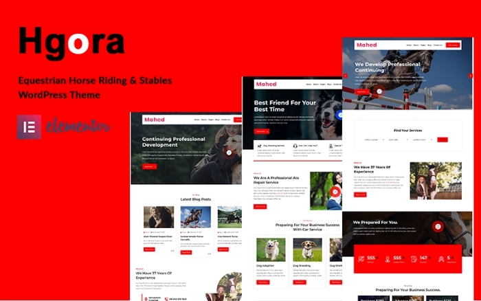 Hgoro Equestrian and Horse Riding Club WP Theme 1.0.0