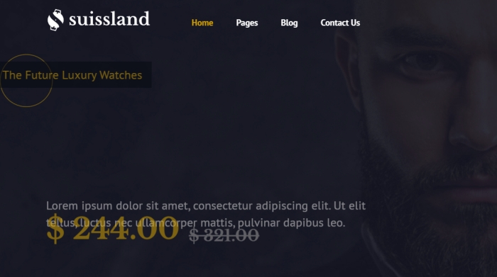 Suissland - Watch Shop Elementor Template Kit 1.0.0
