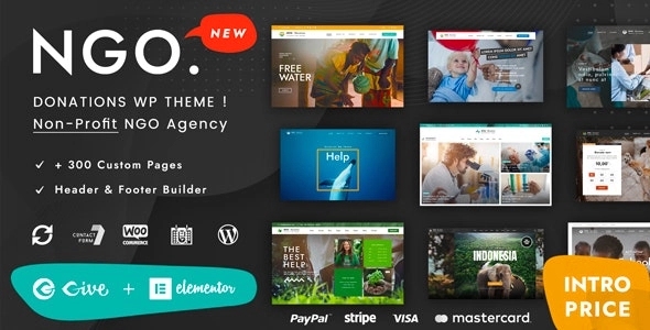 Ngo – Charity Donation WP 1.6