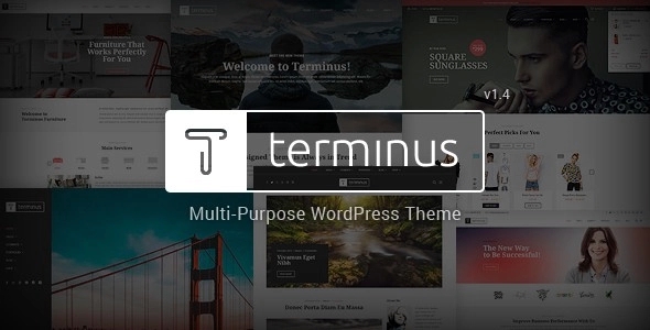 Terminus – Responsive Multi-Purpose WP Theme 1.4.3