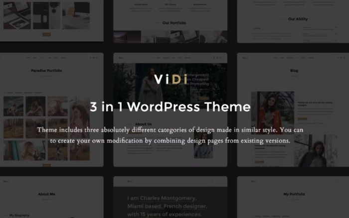 ViDi – 3 in 1 Creative WordPress Theme 1.1.2