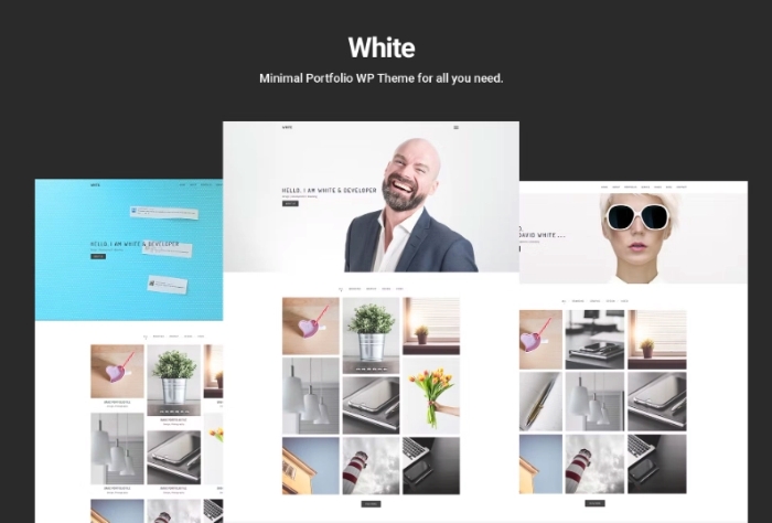 White – Minimal Portfolio WordPress Theme 1.0