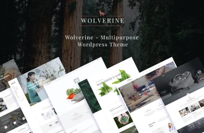 Wolverine – Responsive Multi-Purpose Theme 3.3