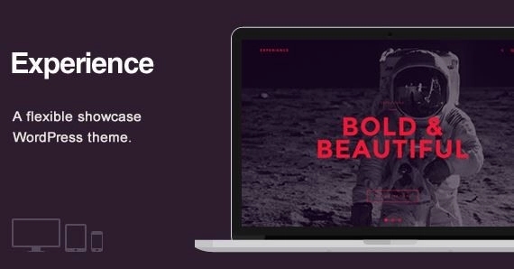 Experience - Showcase WordPress Theme 1.2