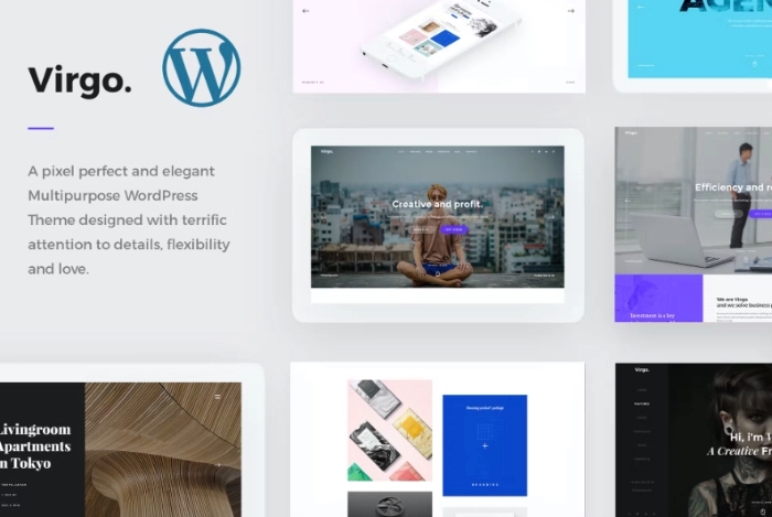 Virgo. – Multipurpose WordPress Theme 1.1.1