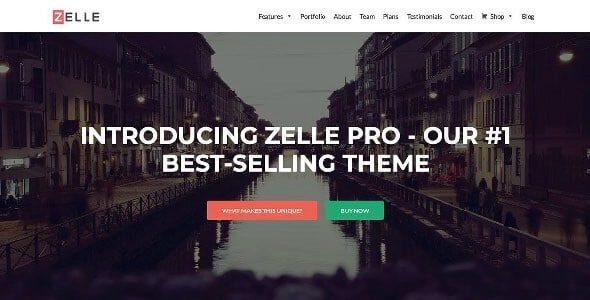 Zelle Pro (Zerif Pro) WordPress Theme ThemeIsle 2.1.6