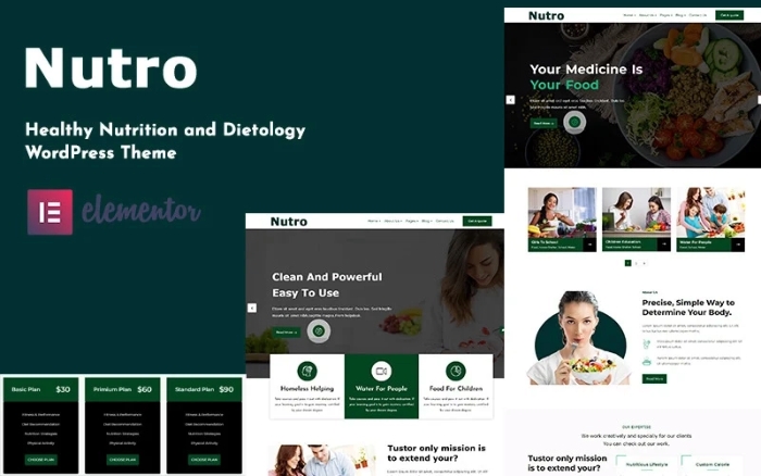 Nutro – Nutrition Health Services WordPress Theme 1.0.0