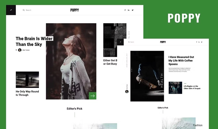 Poppy – Blog & Magazine Elementor Template Kit 1.0.0