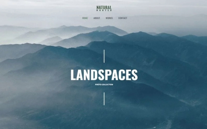 Natural Hunter Creative Photographer WP Theme 1.0