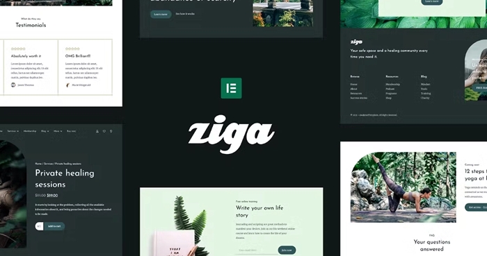Ziga – Healer & Life Coach Elementor Template Kit 1.0.0