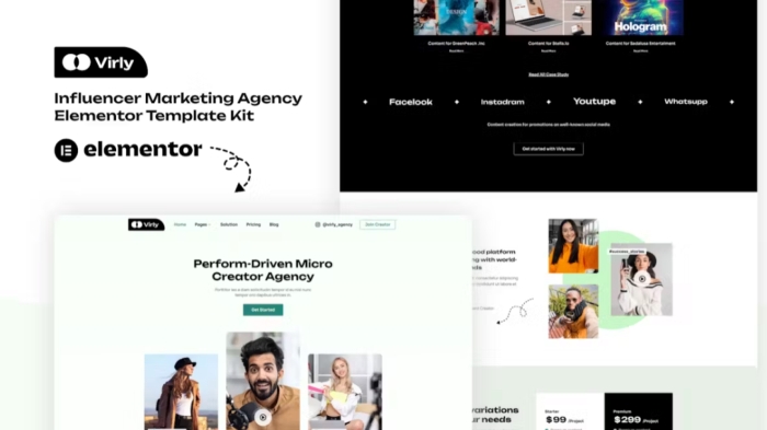Virly – Influencer Marketing Agency Elementor Template Kit 1.0.0