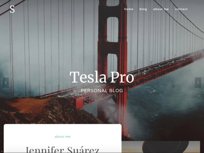 Tesla Pro WP Theme 1.0.3