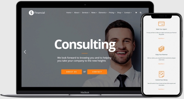 VisualModo – Financial Theme 2.0.2